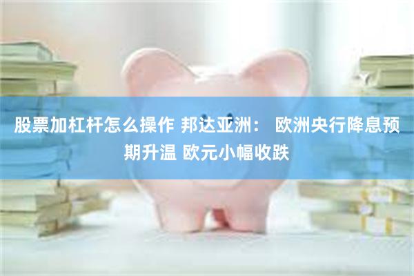 股票加杠杆怎么操作 邦达亚洲： 欧洲央行降息预期升温 欧元小幅收跌