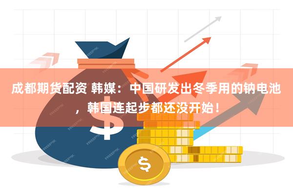 成都期货配资 韩媒：中国研发出冬季用的钠电池，韩国连起步都还没开始！