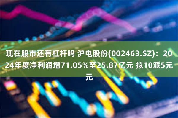 现在股市还有杠杆吗 沪电股份(002463.SZ)：2024年度净利润增71.05%至25.87亿元 拟10派5元