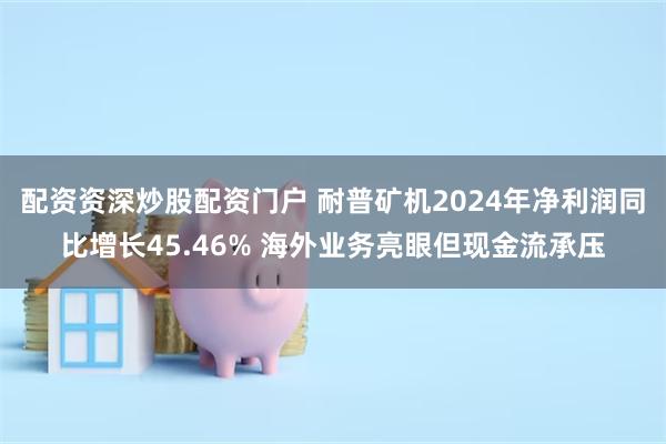 配资资深炒股配资门户 耐普矿机2024年净利润同比增长45.46% 海外业务亮眼但现金流承压